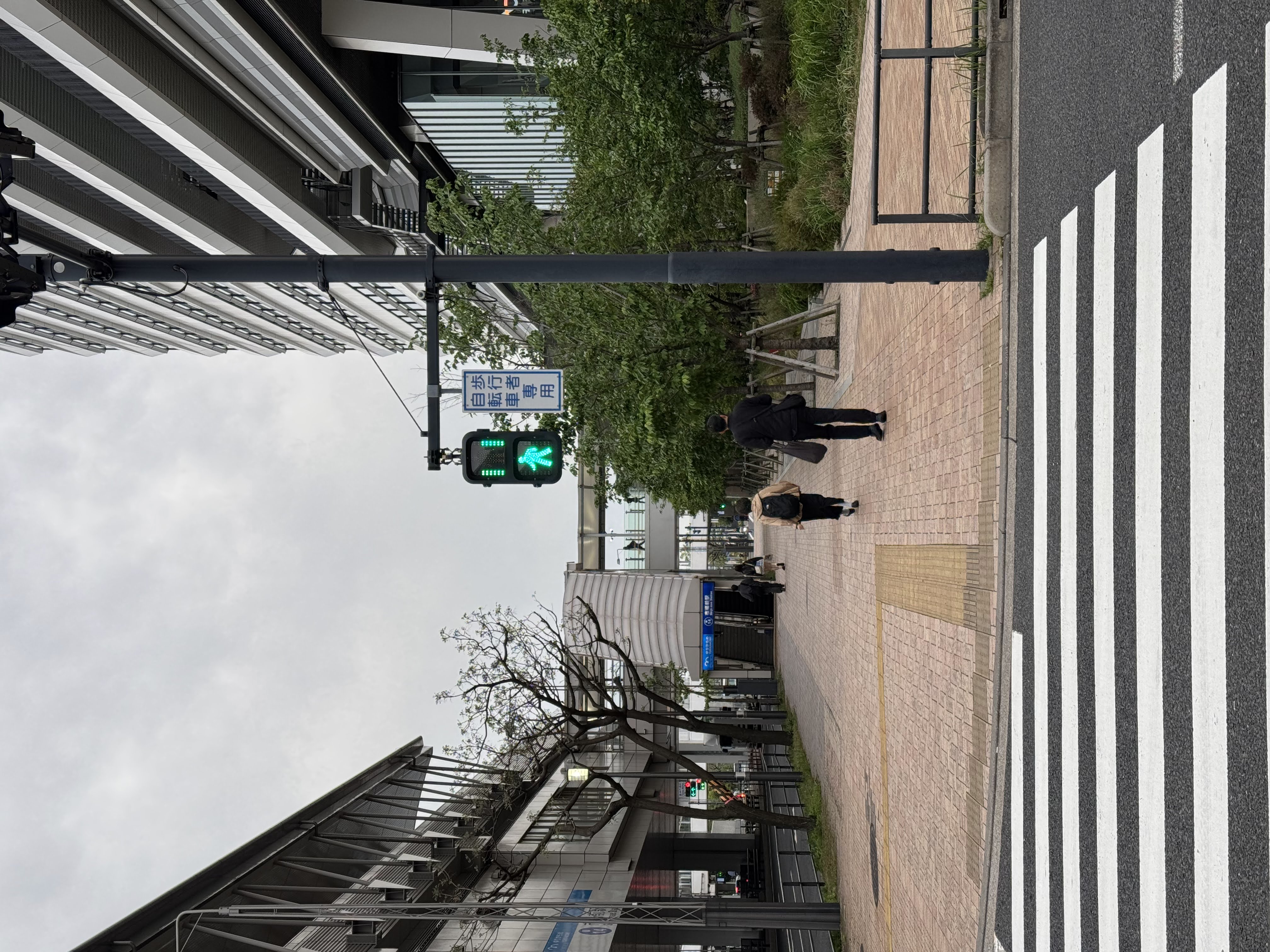 Pedestrian crossing in Tokyo